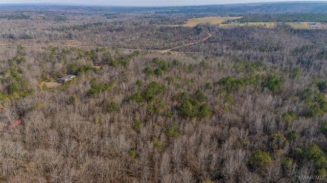 0 County Road 20th Rd E, Marbury, AL 36051 - photo 6