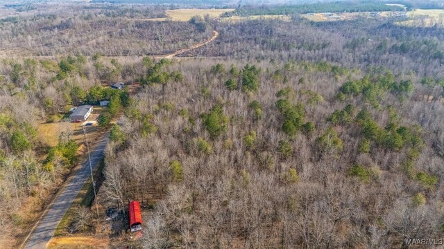 0 County Road 20th Rd E, Marbury, AL 36051 - photo 7