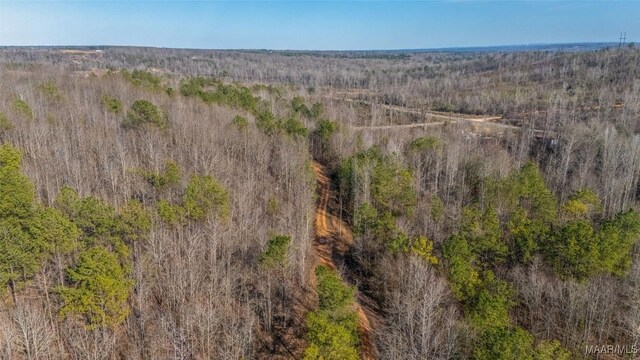 0 County Road 20th Rd E, Marbury, AL 36051 - photo 8