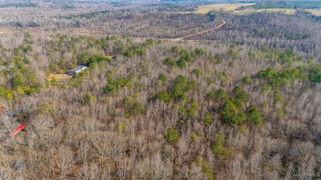 0 County Road 20th Rd E, Marbury, AL 36051 - photo 9