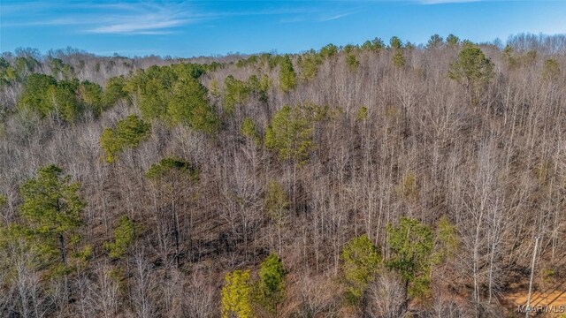 0 County Road 20th Rd E, Marbury, AL 36051 - photo 10