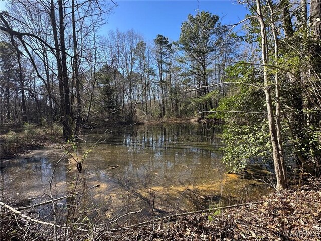 44.3 County Road 20 W, Marbury, AL 36051 - photo 3