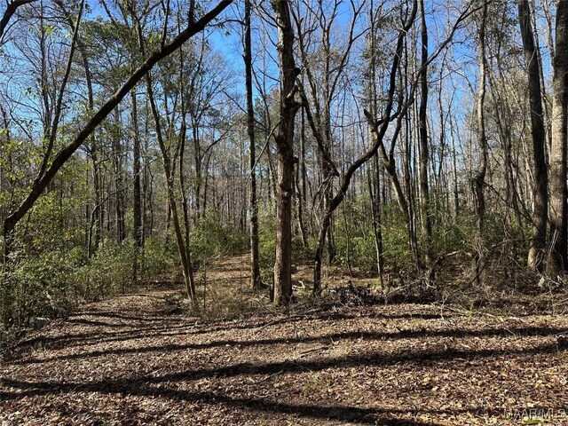44.3 County Road 20 W, Marbury, AL 36051 - photo 7