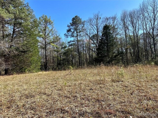 44.3 County Road 20 W, Marbury, AL 36051 - photo 8