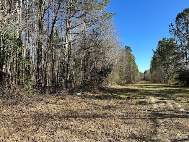 44.3 County Road 20 W, Marbury, AL 36051 - photo 10