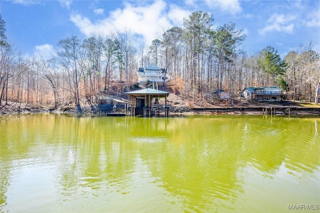 74 Lake Point Dr, Jacksons Gap, AL 36861 - view of dock with a water view and a wooded view