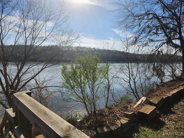 2085 Robinson Pond Rd, Prattville, AL 36067 - water view