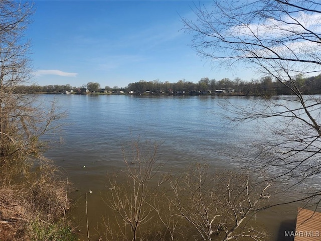 2085 Robinson Pond Rd, Prattville, AL 36067 - property view of water