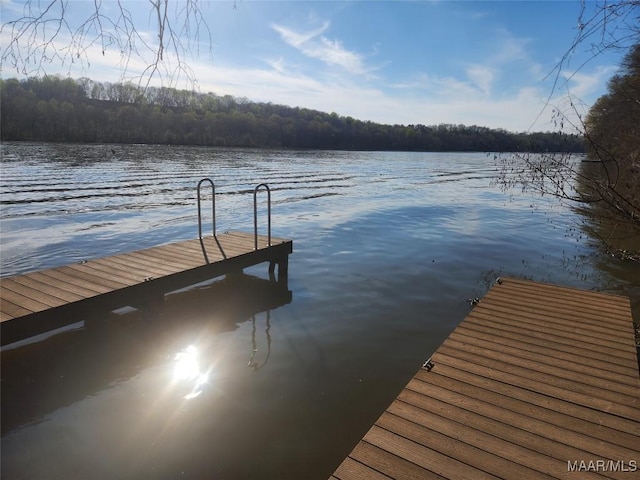 2085 Robinson Pond Rd, Prattville, AL 36067 - dock area with a view of trees and a water view