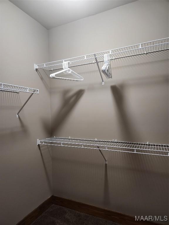 2085 Robinson Pond Rd, Prattville, AL 36067 - view of spacious closet