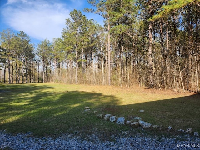 2085 Robinson Pond Rd, Prattville, AL 36067 - view of yard with a wooded view