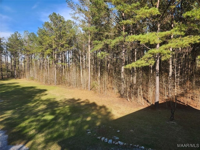 2085 Robinson Pond Rd, Prattville, AL 36067 - view of nature with a wooded view