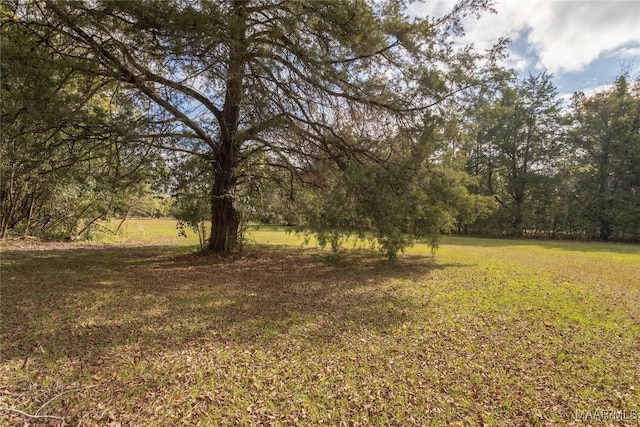 815 Lamar Rd, Hope Hull, AL 36043 - photo 44
