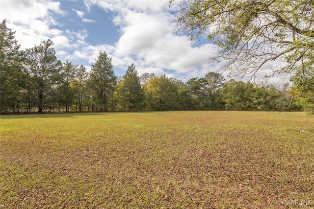 815 Lamar Rd, Hope Hull, AL 36043 - photo 45
