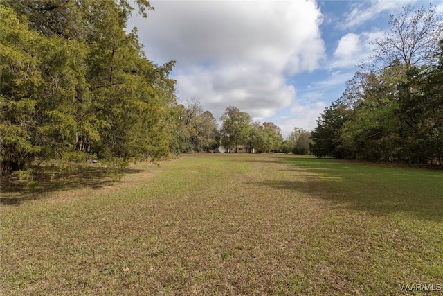 815 Lamar Rd, Hope Hull, AL 36043 - photo 46