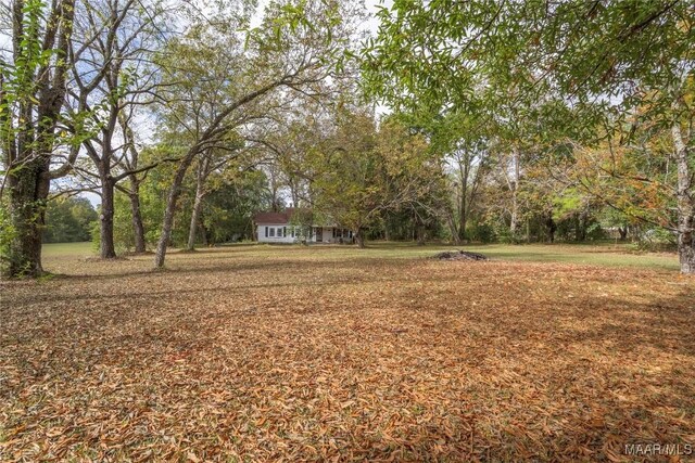 815 Lamar Rd, Hope Hull, AL 36043 - photo 49
