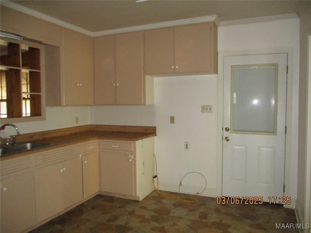 kitchen with ornamental molding and a sink