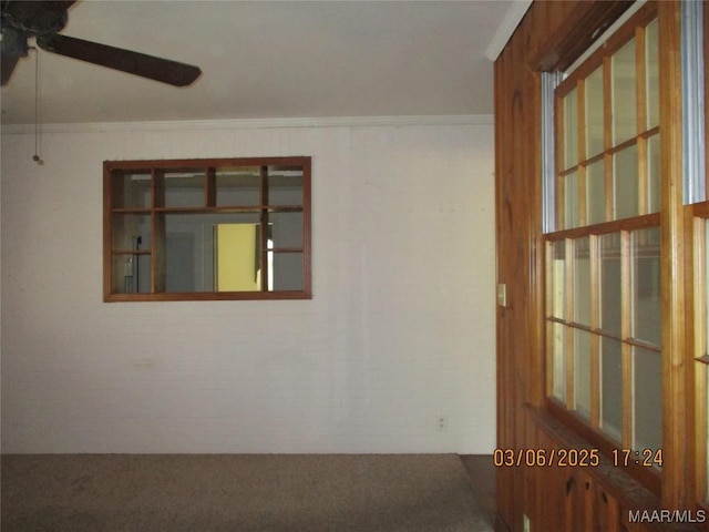 spare room featuring carpet flooring, a ceiling fan, and crown molding