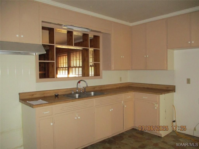 kitchen with ornamental molding and a sink