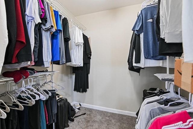 6528 Enfield Mews, Montgomery, AL 36117 - walk in closet with carpet