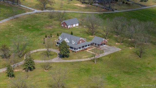 bird's eye view