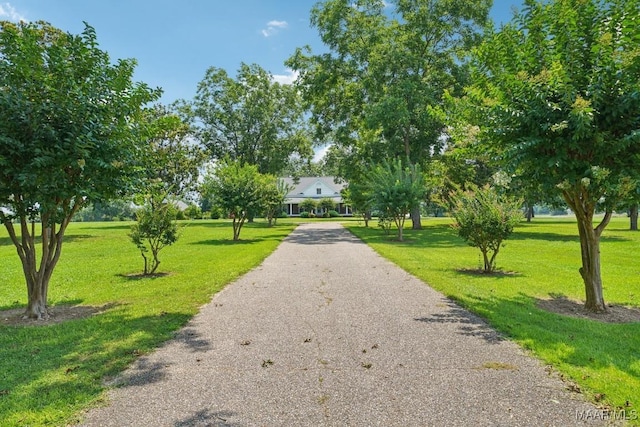 13650 County Road 29th Rd, Clanton, AL 35045 - view of property's community featuring a lawn