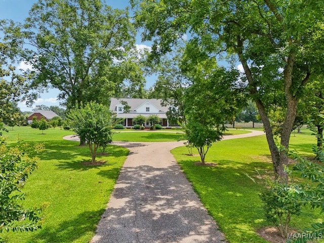 13650 County Road 29th Rd, Clanton, AL 35045 - view of home's community with a lawn
