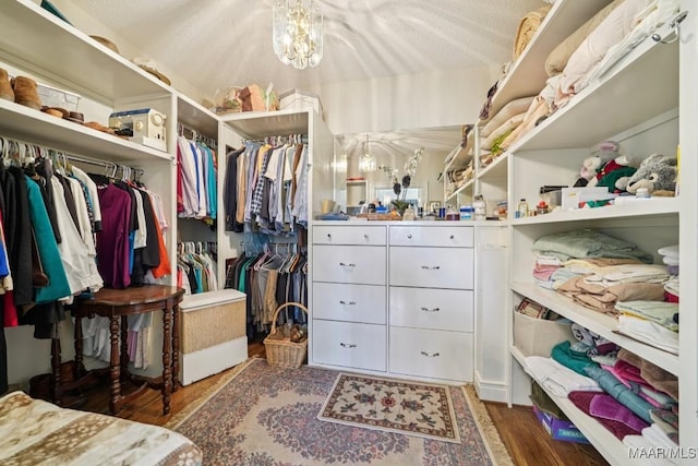 13650 County Road 29th Rd, Clanton, AL 35045 - walk in closet with wood finished floors