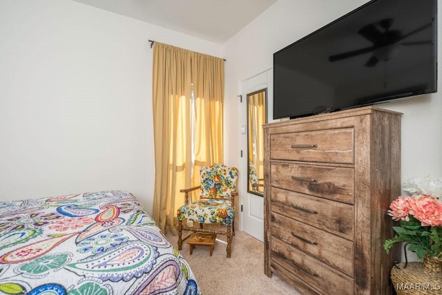 bedroom with carpet
