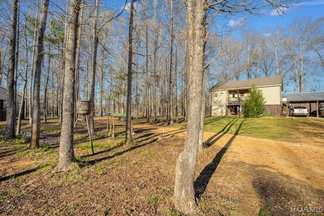 view of yard featuring a detached carport