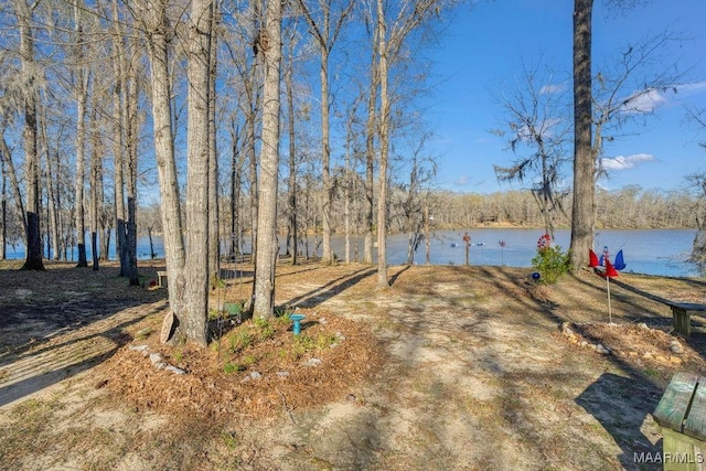 view of yard with a water view