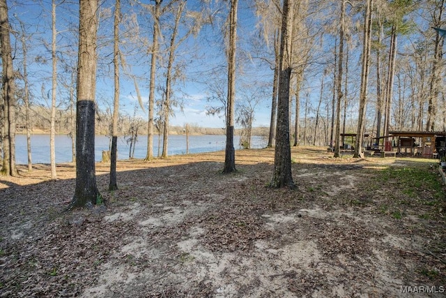view of yard with a water view