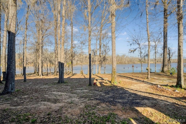 view of yard featuring a water view