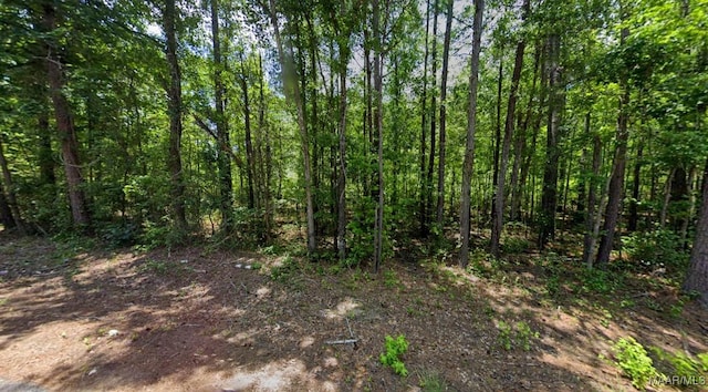 0 Lee Rd Unit 175, Salem, AL 36874 - photo 1