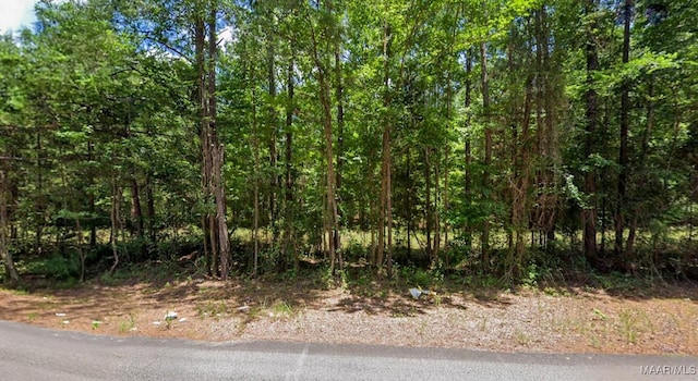 0 Lee Rd Unit 175, Salem, AL 36874 - photo 2