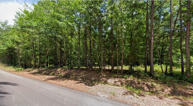 0 Lee Rd Unit 175, Salem, AL 36874 - photo 3