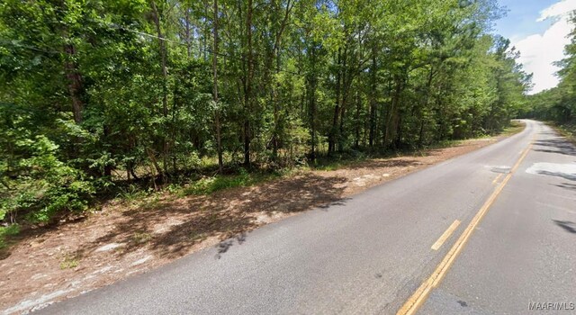 0 Lee Rd Unit 175, Salem, AL 36874 - photo 4