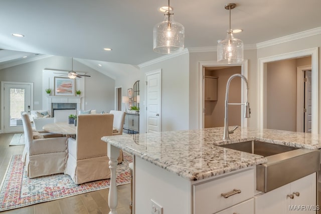 101 Ananias St, Troy, AL 36079 - kitchen featuring light stone counters, a sink, wood finished floors, open floor plan, and ceiling fan