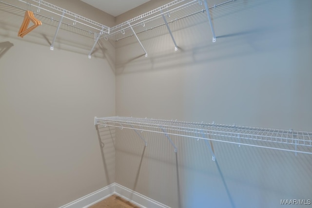 101 Ananias St, Troy, AL 36079 - view of walk in closet