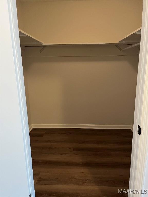 267 County Road 65th Rd, Valley Grande, AL 36701 - spacious closet featuring dark wood-style floors