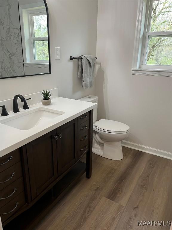 267 County Road 65th Rd, Valley Grande, AL 36701 - bathroom with vanity, wood finished floors, and plenty of natural light