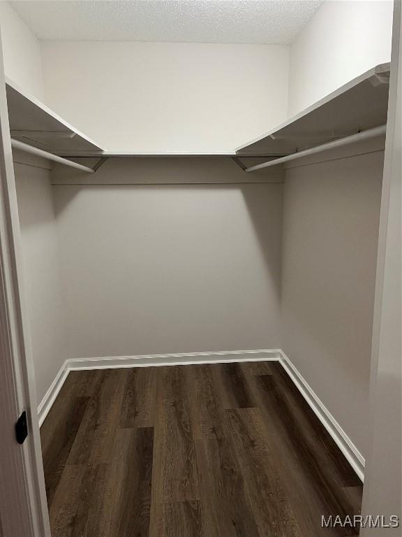 267 County Road 65th Rd, Valley Grande, AL 36701 - spacious closet with dark wood finished floors