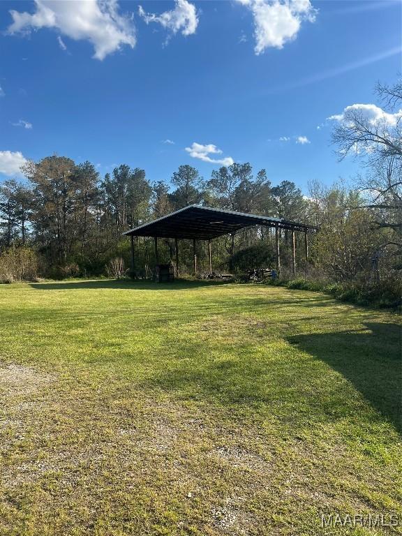 376 Mckenzie St, Mckenzie, AL 36456 - view of yard with a detached carport