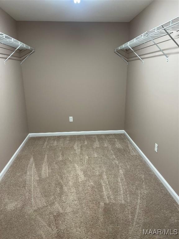 376 Mckenzie St, Mckenzie, AL 36456 - walk in closet featuring carpet floors