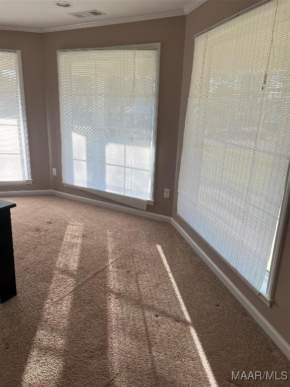 376 Mckenzie St, Mckenzie, AL 36456 - spare room with crown molding, carpet, and visible vents