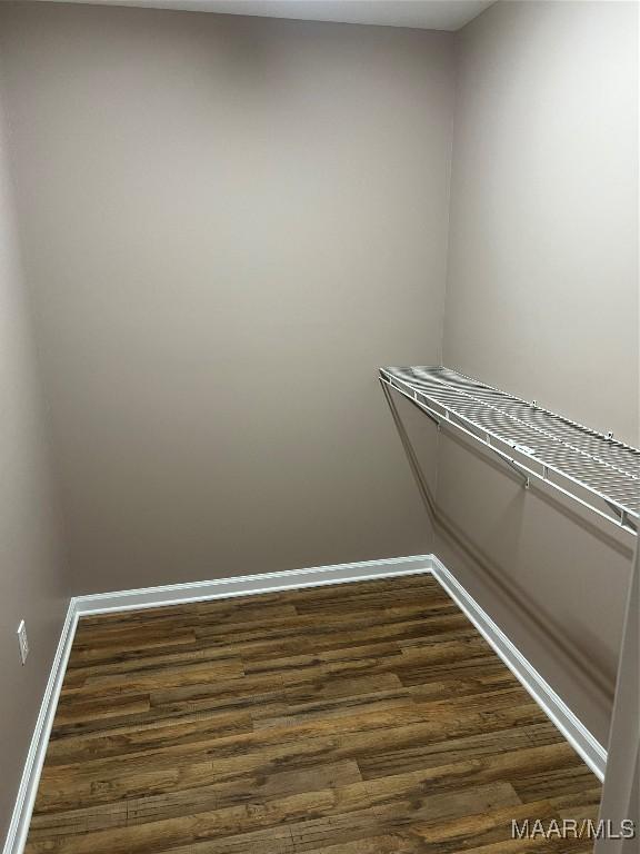 376 Mckenzie St, Mckenzie, AL 36456 - walk in closet featuring dark wood-style flooring