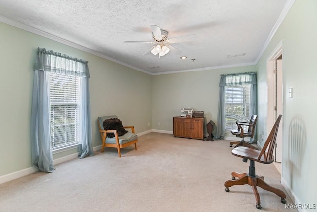 1522 W Old Hayneville Rd, Le Grand, AL 36105 - photo 11