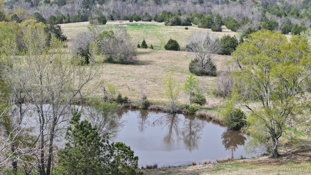 1522 W Old Hayneville Rd, Le Grand, AL 36105 - photo 50