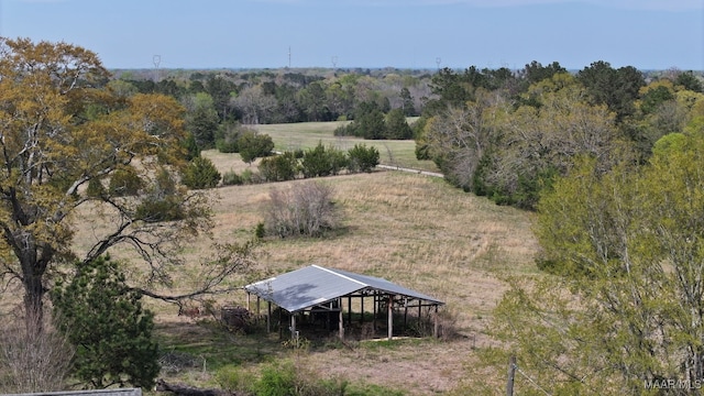 1522 W Old Hayneville Rd, Le Grand, AL 36105 - photo 51