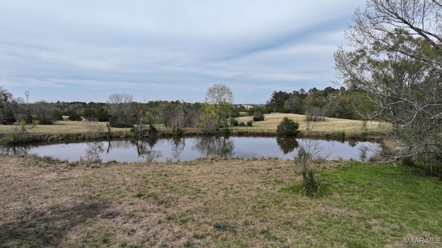 1522 W Old Hayneville Rd, Le Grand, AL 36105 - photo 55